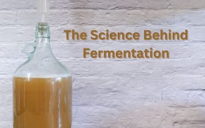 The Science Behind Fermentation – Beer’s Magical Transformation