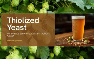 Thiolized Yeast -The Science Behind the Tropical Fruit Bomb in Your Beer